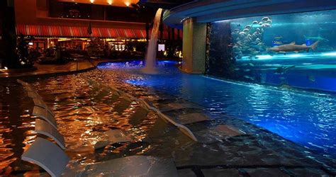 fremont street shark tank pool.